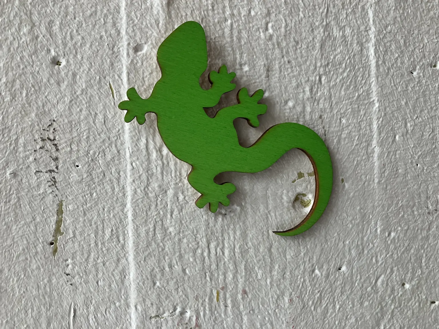 Schulstiftung Freiburg Gecko