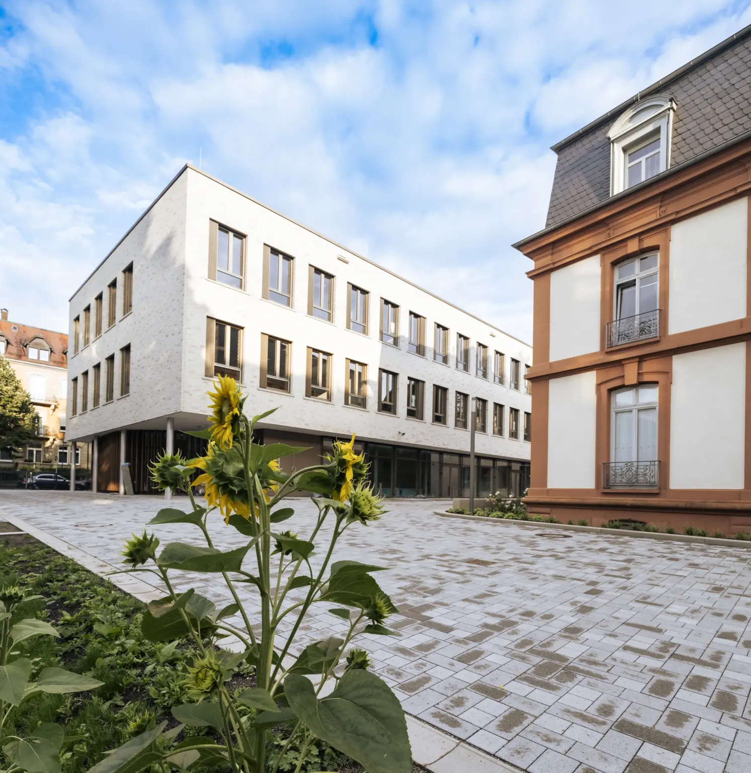 Schulstiftung Freiburg Neubau Wiehre