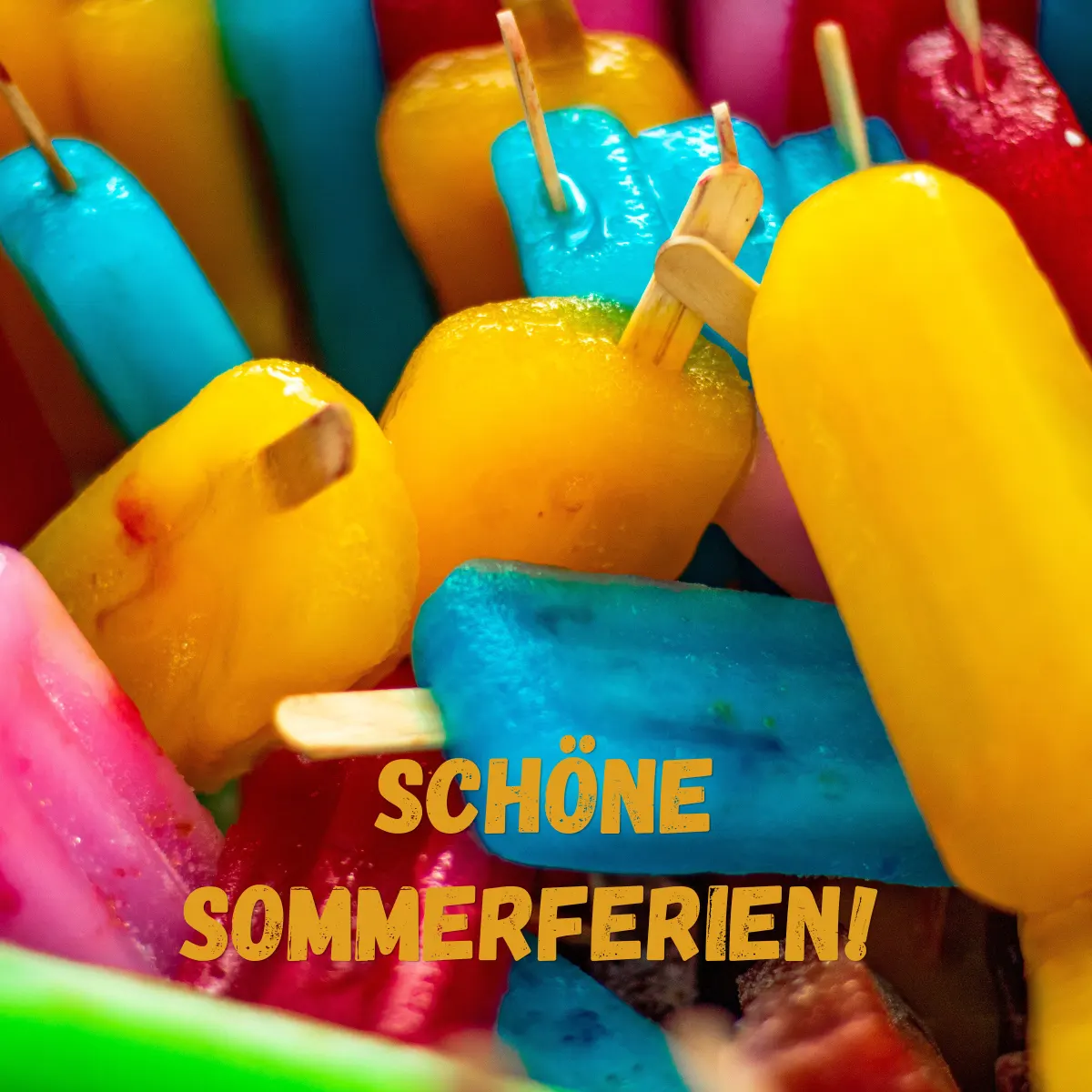 Schulstiftung Freiburg Schöne Ferien